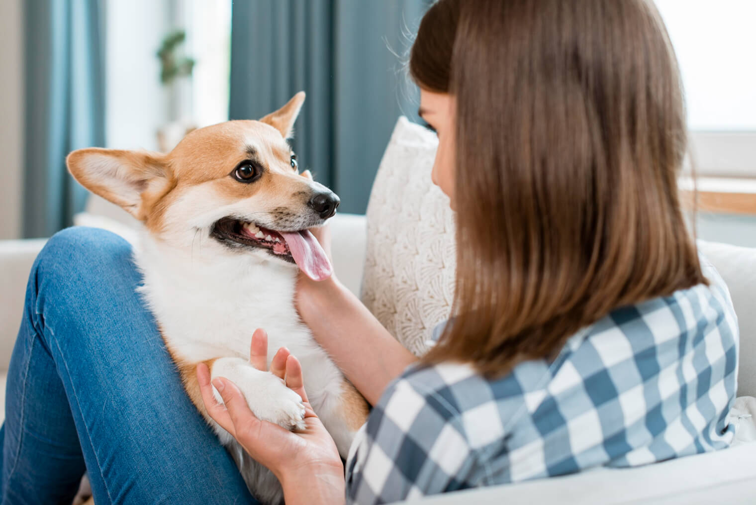 parlare troppo col cane