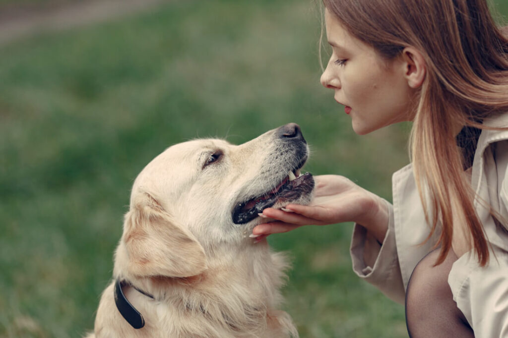 parlare troppo al cane: ragazza che parla col suo golden retriever